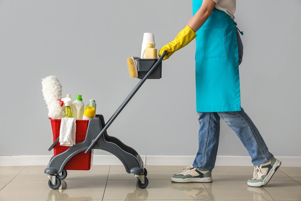 65956e0c7a284e01e1b6b5fc what are the benefits of a professional cleaner